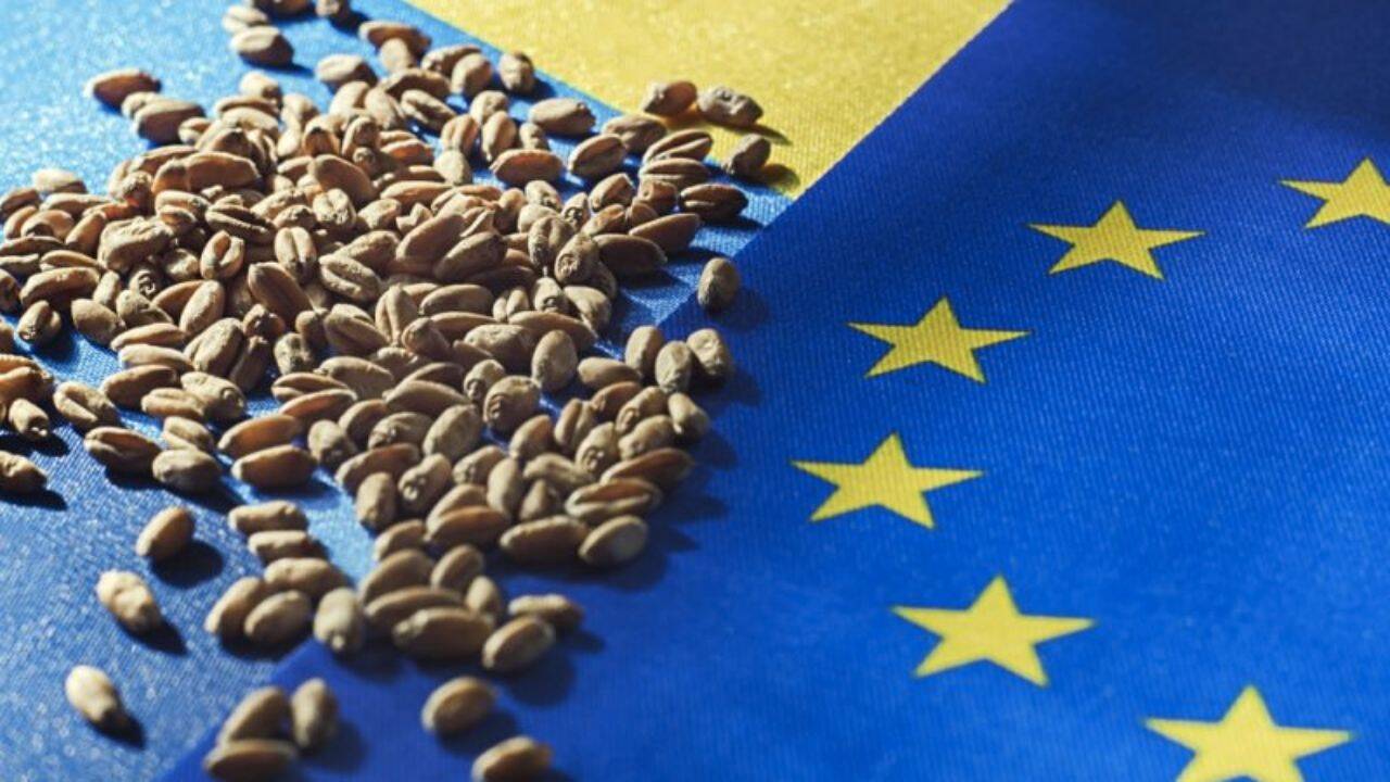cereale pe steagul UE si al Ucrainei