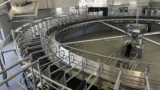 sala-rotativa-muls-ferma-arad