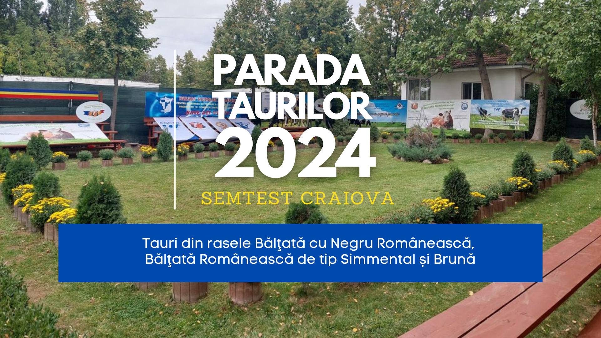 Parada Taurilor 2024