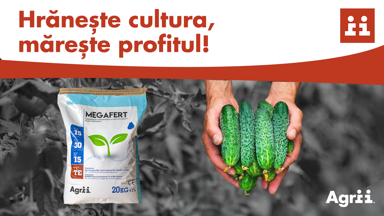 Fertilizant hidrosolubuil Megafert 15-30-15