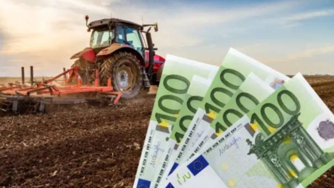 Doi europarlamentari români au depus la Bruxelles un amendament pentru creșterea subvențiilor APIA