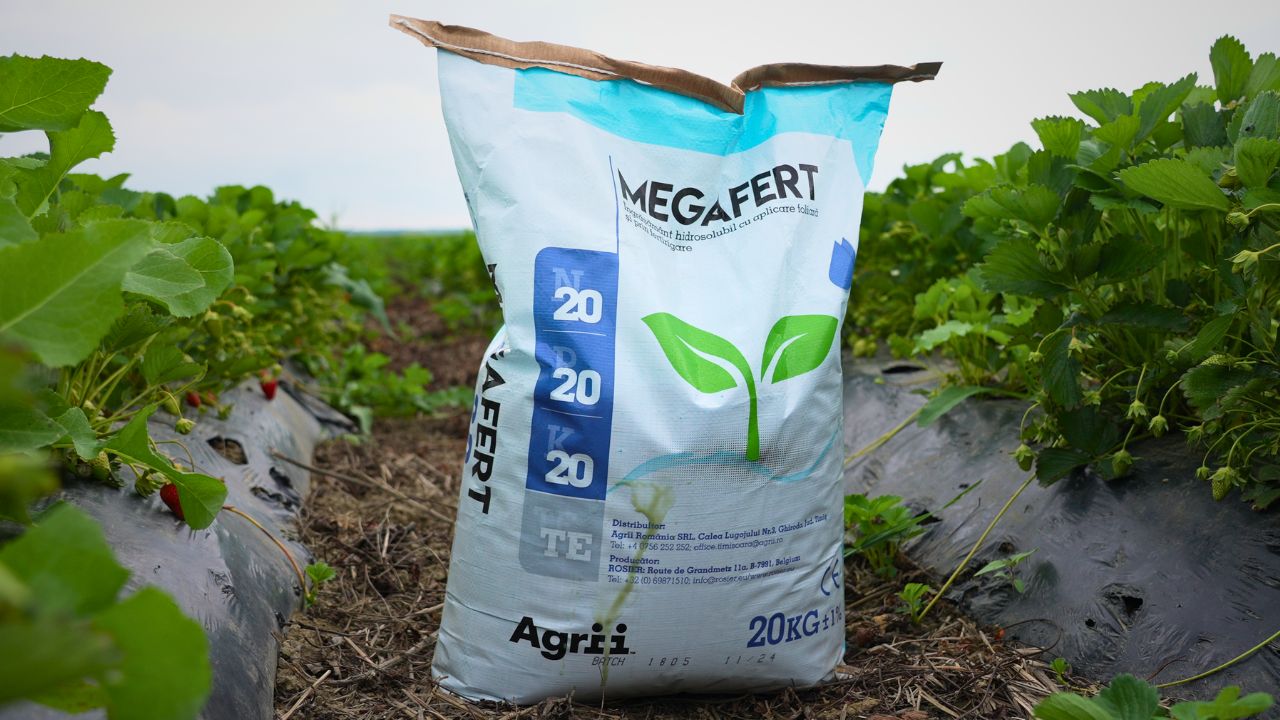 Fertilizant Megafert 20-20-20