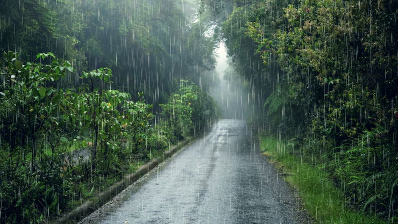 Alertă meteo: Cod galben de grindină, vijelii și ploi torențiale în mai multe județe