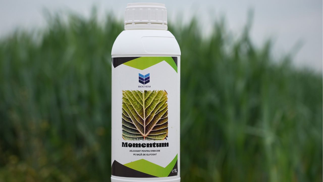 Adjuvant Momentum 
