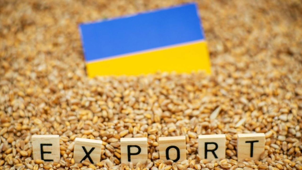 Exporturile de grâu din Ucraina în UE vor fi mai mici în noul sezon
