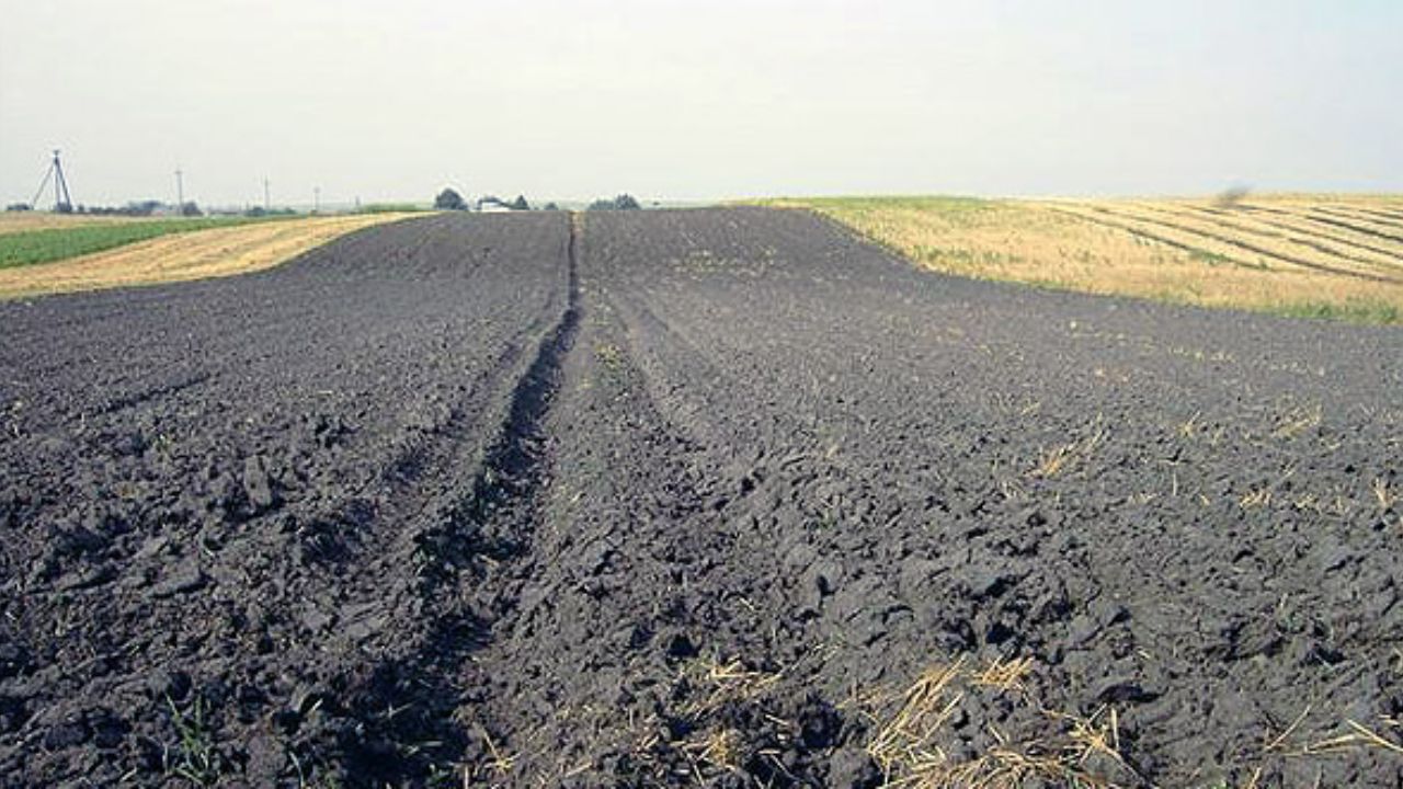 Un fost șef al direcției de Cadastru, extrădat în Ucraina pentru escrocherie cu 1.200 ha de teren