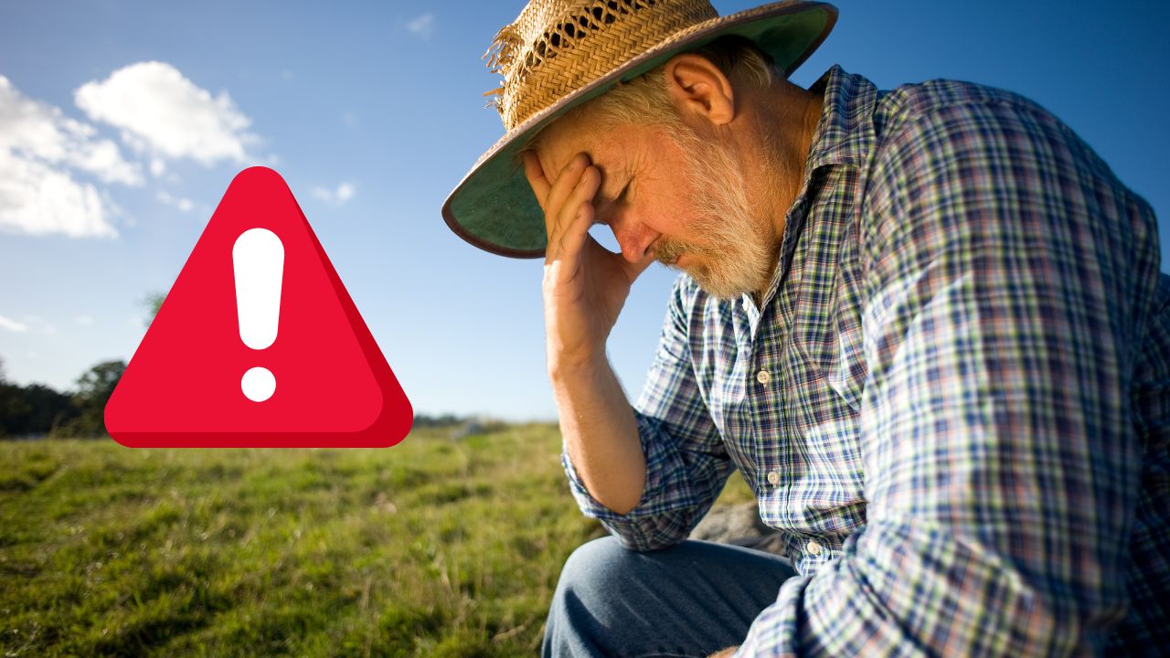Fenomenul meteo care amenință agricultura. În mai multe țări din Europa este deja alertă roșie