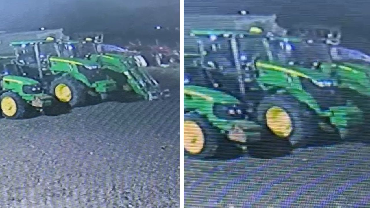 Ferma lui Mihai Mocanu, călcată a doua oară de hoți. Poliția nu are suspecți nici acum, nici la furtul de acum patru ani