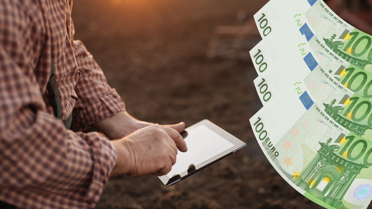 APIA anunță: 1,5 milioane de euro și 650.000 de euro pentru investiții. Ghidurile, publicate!