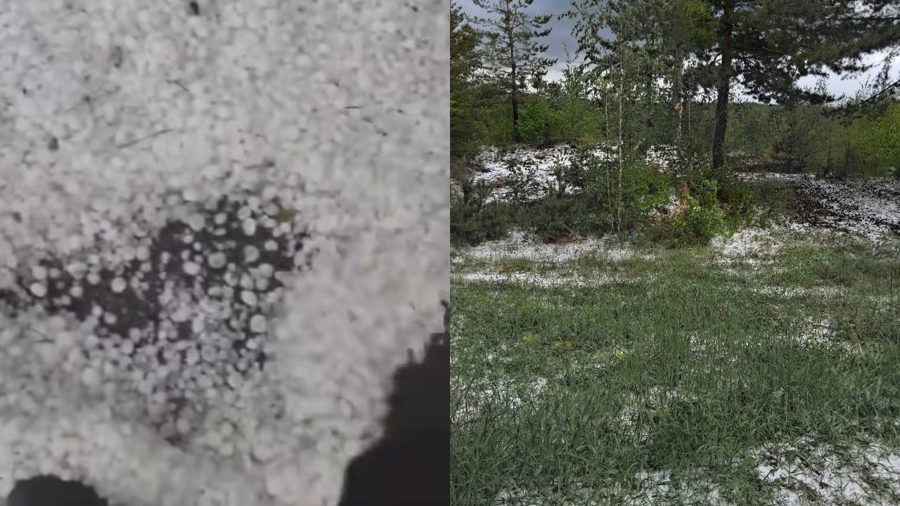 Rupere de nori cu ploi torențiale și grindină în mai multe județe. Culturi distruse în câteva minute