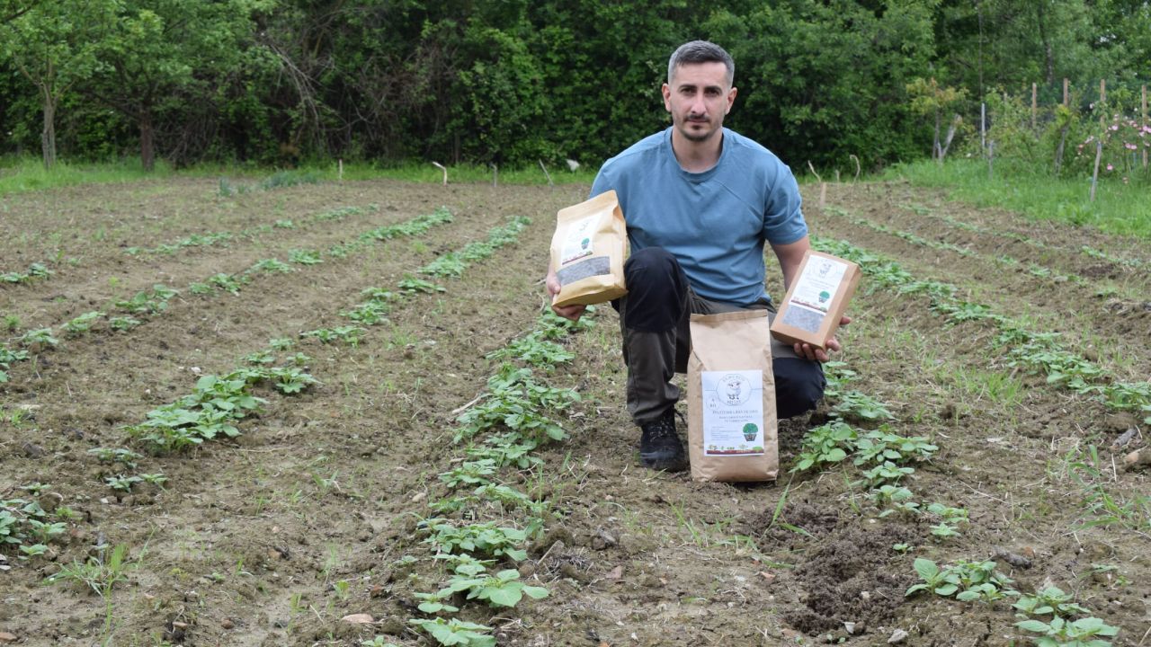 Tânăr antreprenor: ”Iau lâna gratis de la oieri și produc din ea îngrășăminte bio”