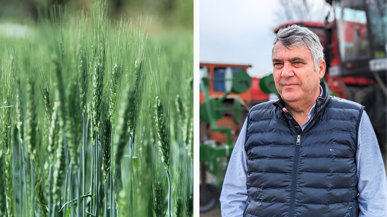 Marian Șamit: La un hectar de grâu, cheltuiala se duce la 5.000-6.000 de lei cu tot cu irigat. Prețul – 90 de bani/kg