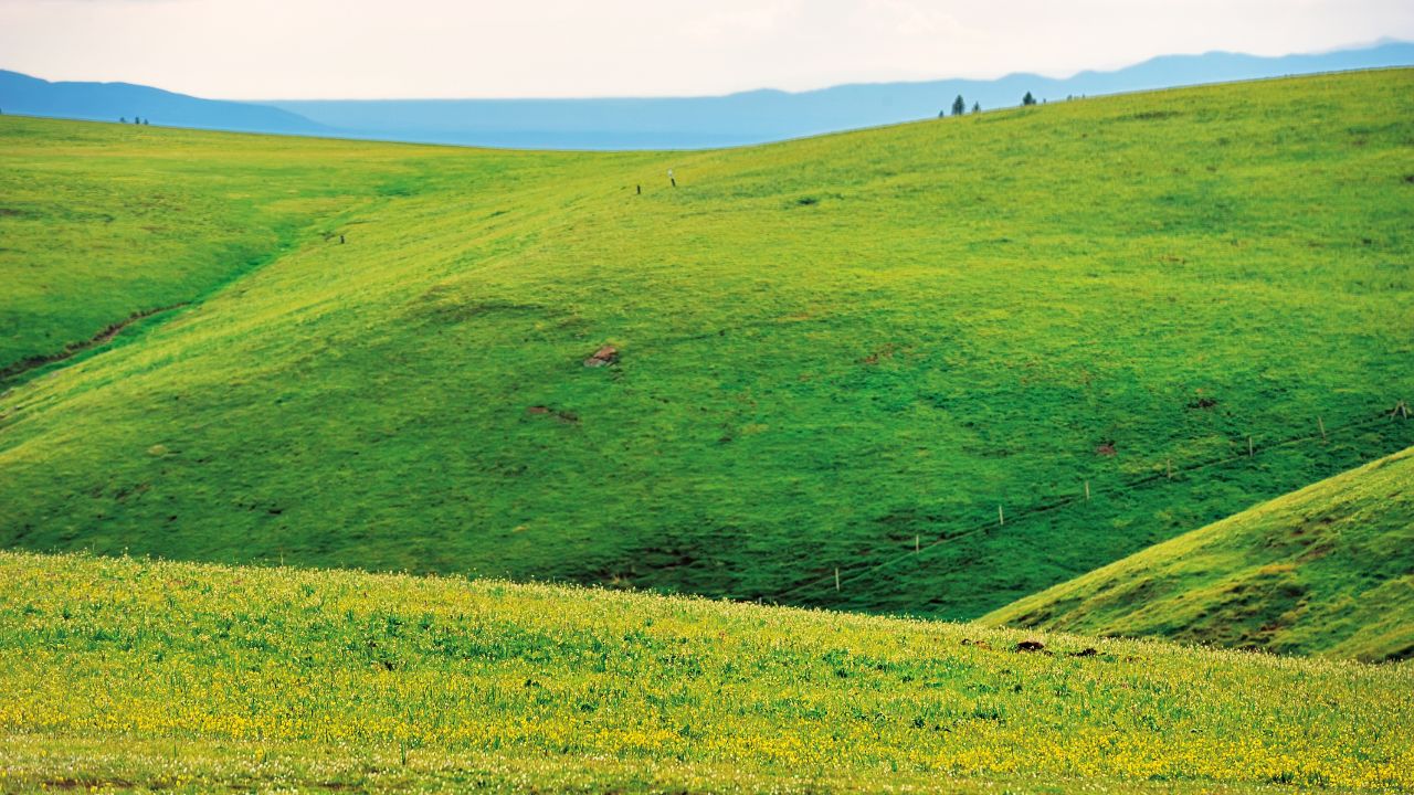 Referendum local: Sătenii dintr-o comună au respins transformarea pășunilor în zonă turistică