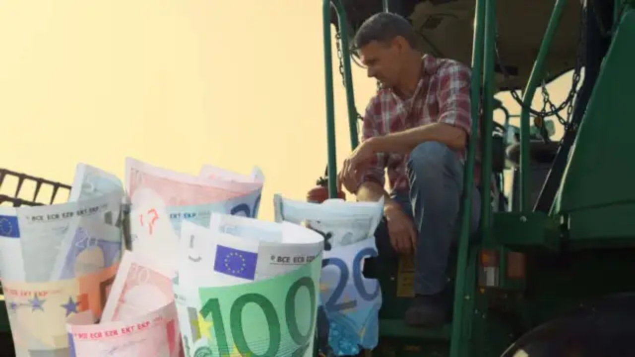 Subvenții APIA. Fermierii care au primit banii în cont în ultimele zile