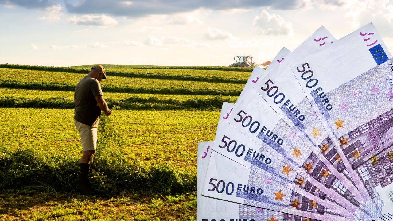 MADR a stabilit sumele la hectar pentru sprijin cuplat – listă cuantumuri. Când încep plățile