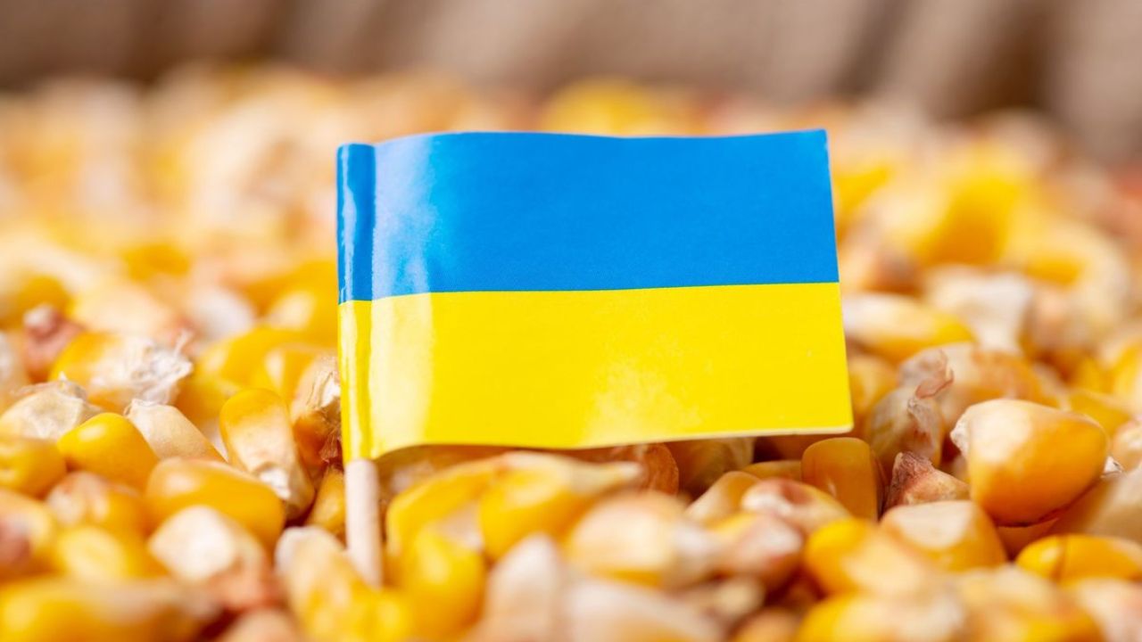 UE: Cota de import la porumbul din Ucraina, redusă de la 4,7 milioane de tone la 650.000 de tone pe an