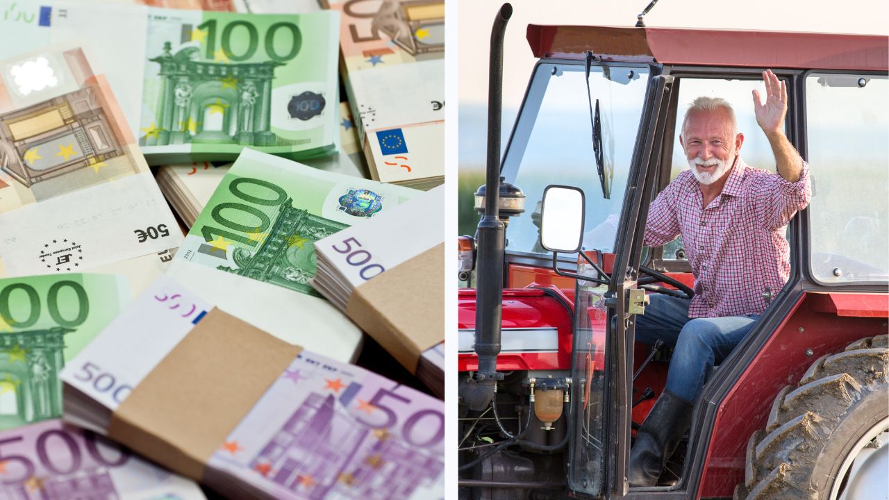 Subvenții mai ușor de accesat pentru micii fermieri. Un nou pachet de simplificare a PAC