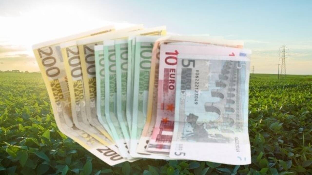Subvenție APIA mai mică pentru fermierii care au lucernă, soia și sfeclă de zahăr