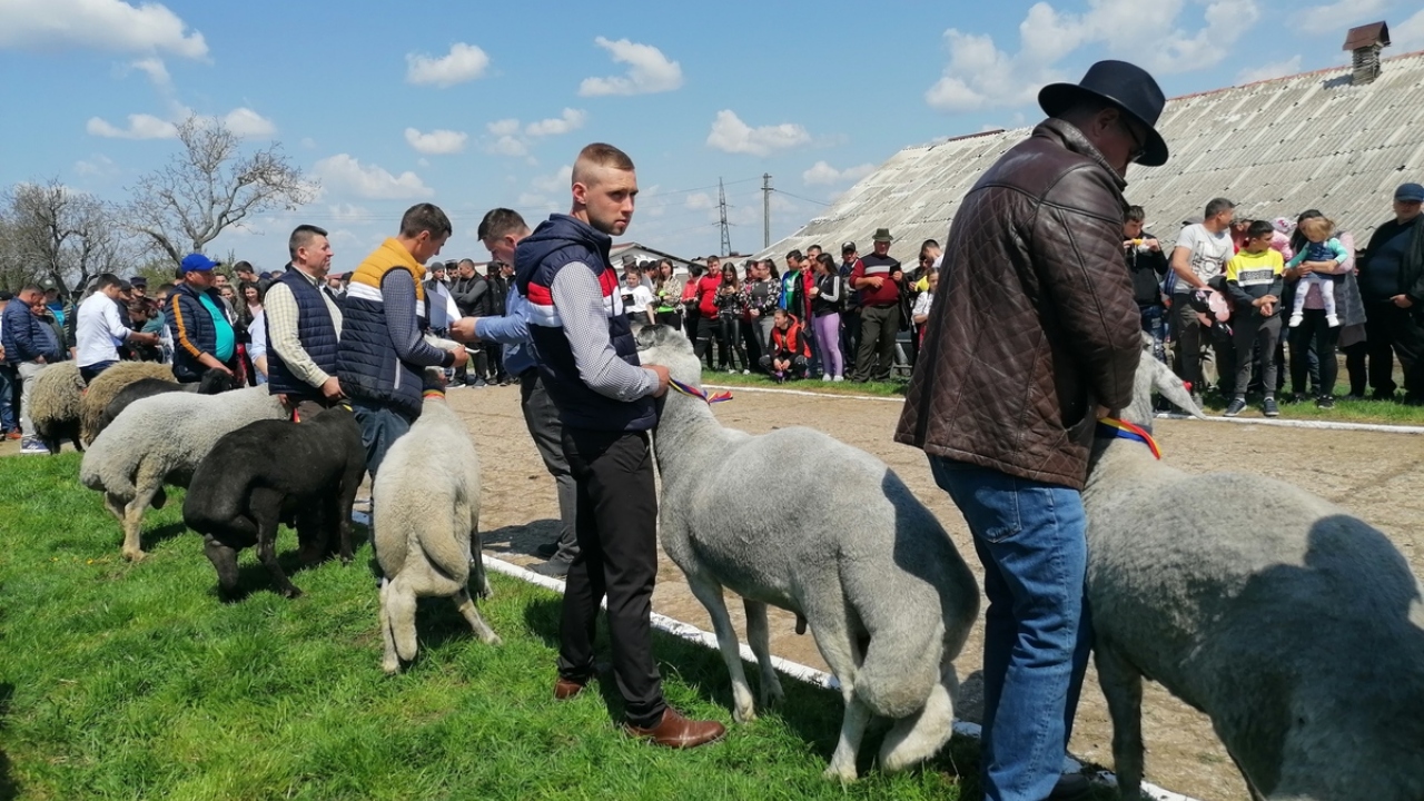 Târgul de Zootehnie de la Popăuți le-a pregătit fermierilor un weekend plin! Iată programul evenimentului