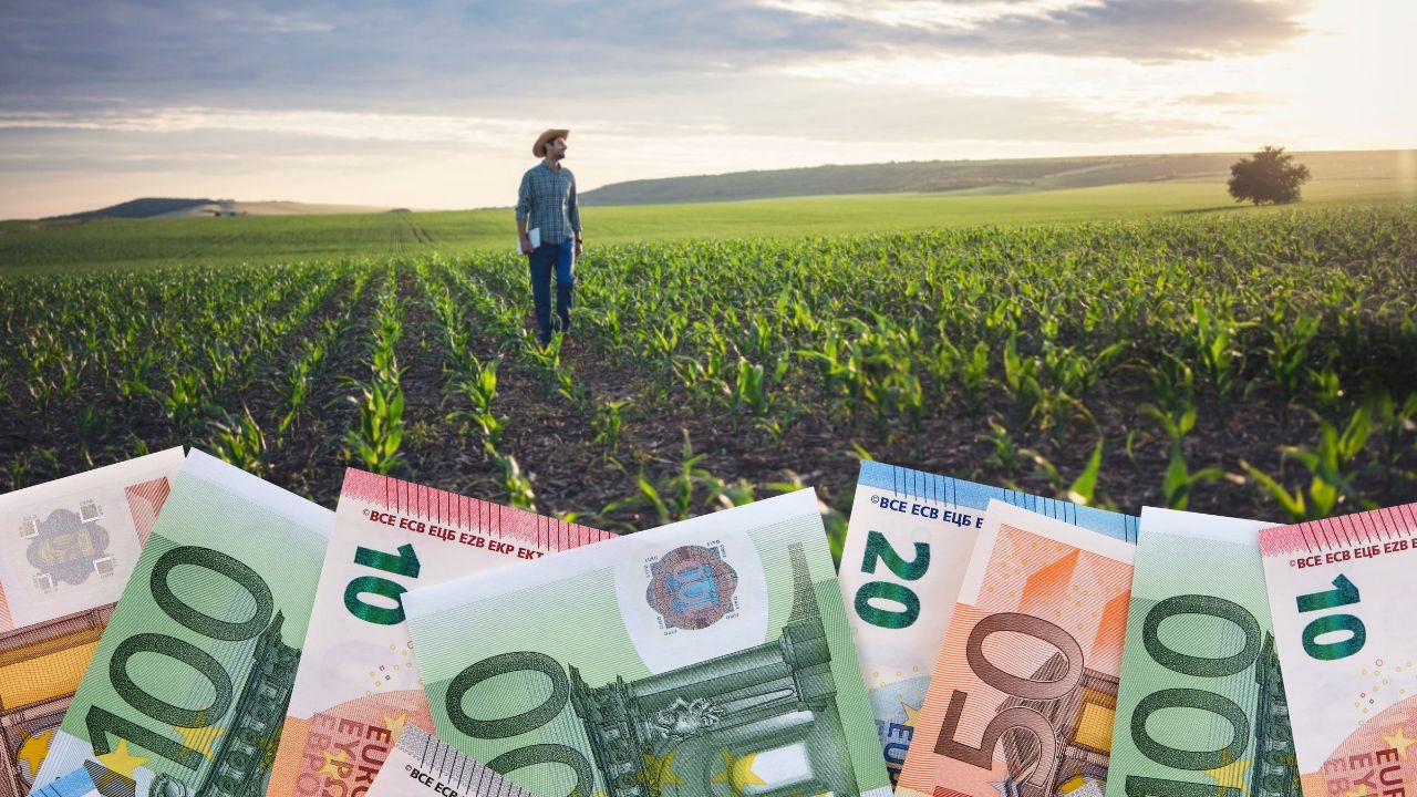 Ministerul Agriculturii prelungește campania de depunere a cererilor pentru subvențiile APIA