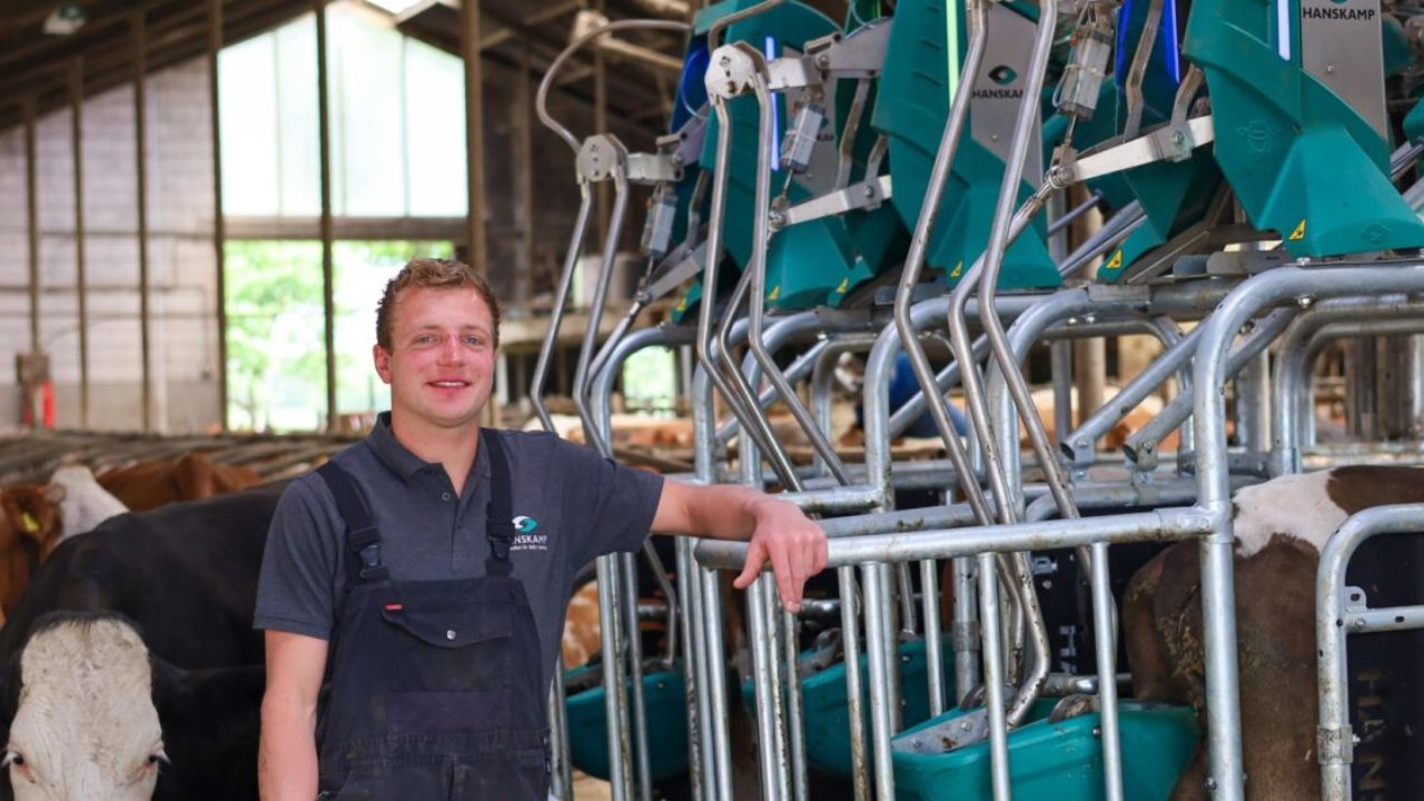 Prima toaletă pentru vaci – tehnologia care reduce poluarea din ferme, disponibilă pe piață