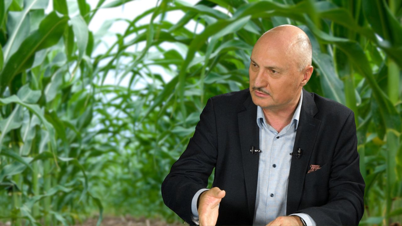 Vasile Iosif, AIPROM: De ce este nevoie ca România și țările UE să utilizeze derogări în domeniul protecției plantelor?