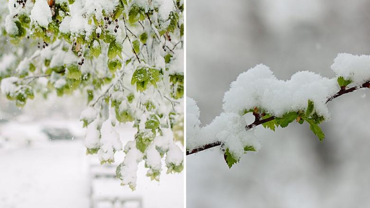 Alertă meteo de zile cu aer polar. Vreme rece, brumă și chiar zăpadă până joi