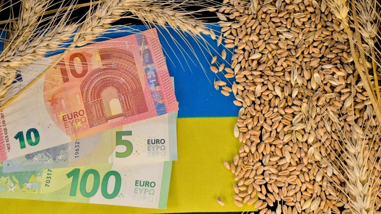 Ucrainenii își fac propria APIA prin care fermierii vor încasa subvenții de la UE