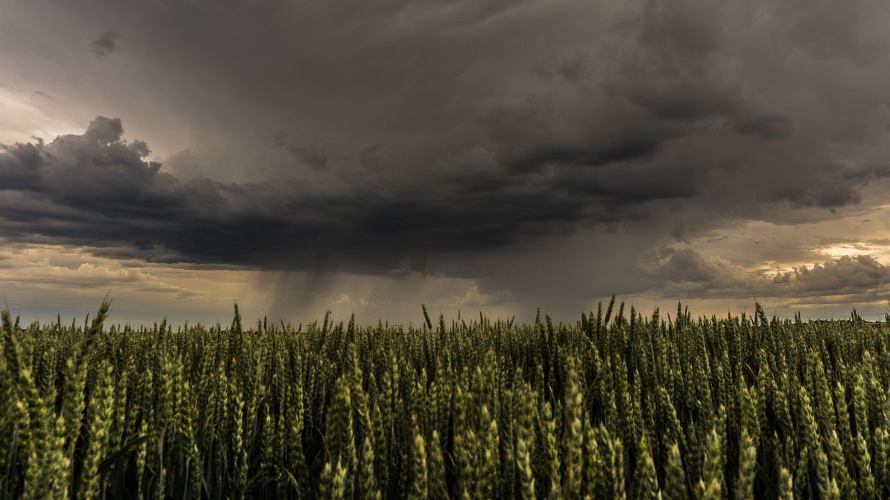 Alerte meteo azi: caniculă de până la 34 de grade Celsius, averse torențiale și vijelii. Harta codurilor galbene