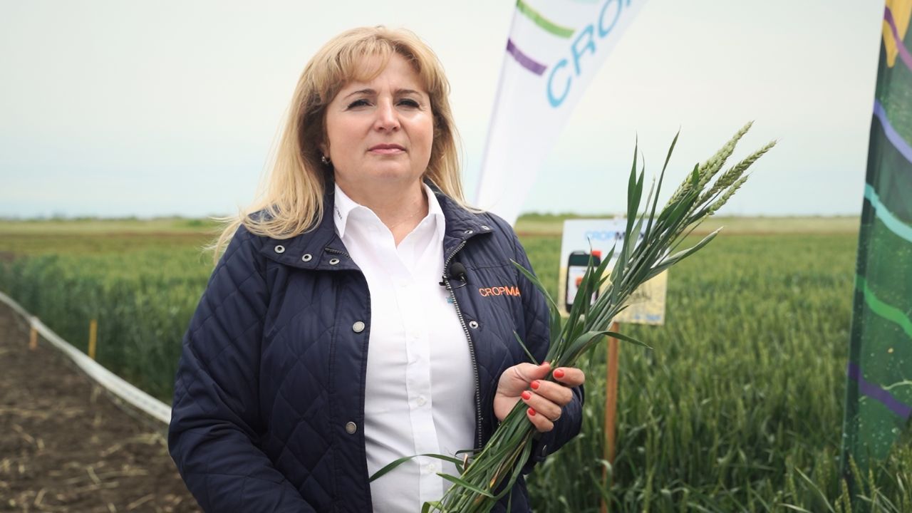 Anca Sala, Director Zonal Holland Farming Agro