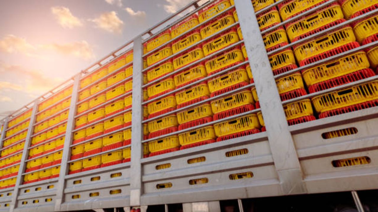 Export ilegal de carne de pui din Ucraina în UE. Schema care i-a adus milioane afaceristului acuzat