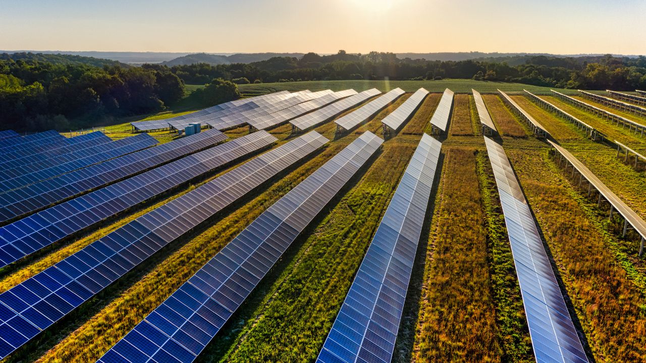 Parlamentarii vor să elimine pragul de 50 de hectare pentru proiectele de energie