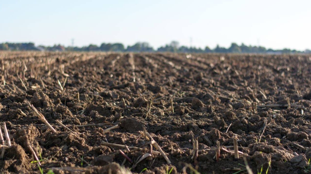 Prefectura Arad a blocat retrocedarea satului Nadăș cu 8.700 de hectare de păduri și teren arabil