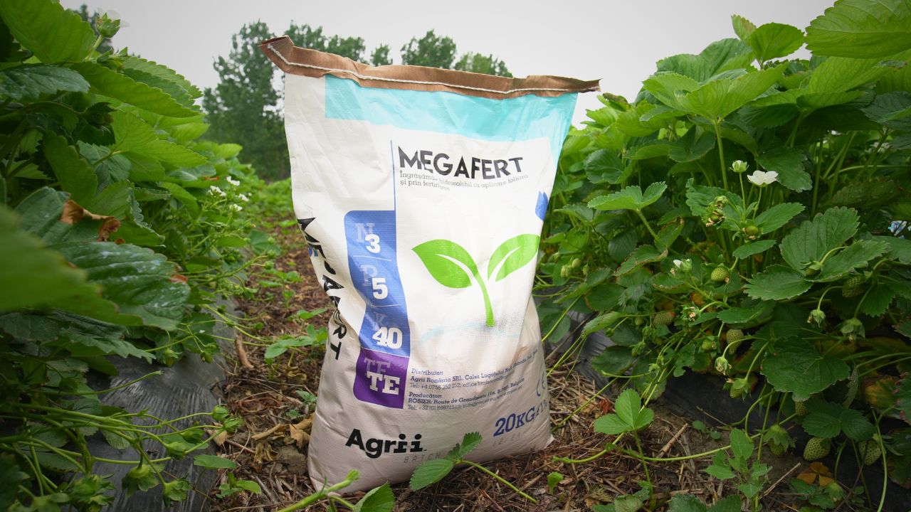 Mega-fertilizare cu MEGAFERT pentru culturi pline de rod
