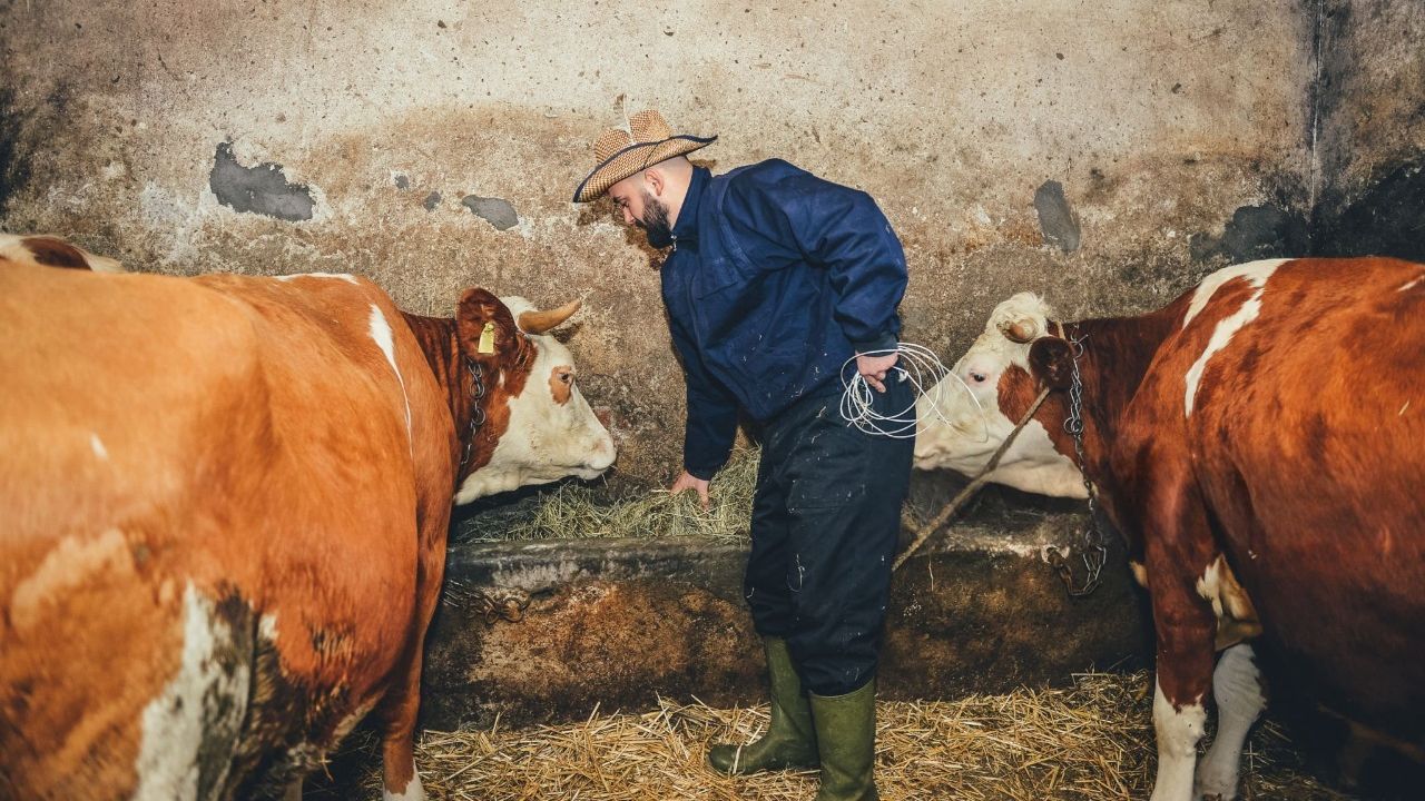 Un procesator român de lapte a ajutat peste 1.000 de mici fermieri să treacă la e-Factura: ”A înțeles toată lumea”