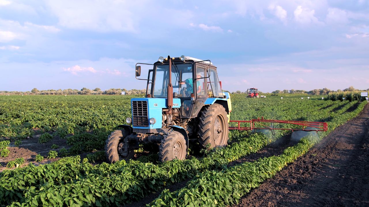 Protecția eficientă împotriva bolilor și fungilor în culturile horticole e adusă de pachetul Bio Protect, de la Nufarm
