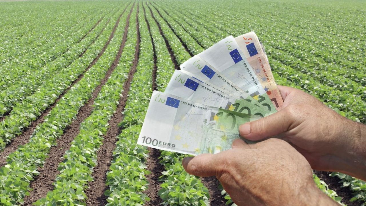 Plăți finale la APIA pentru subvențiile pe anul trecut. Sumele virate fermierilor până vineri