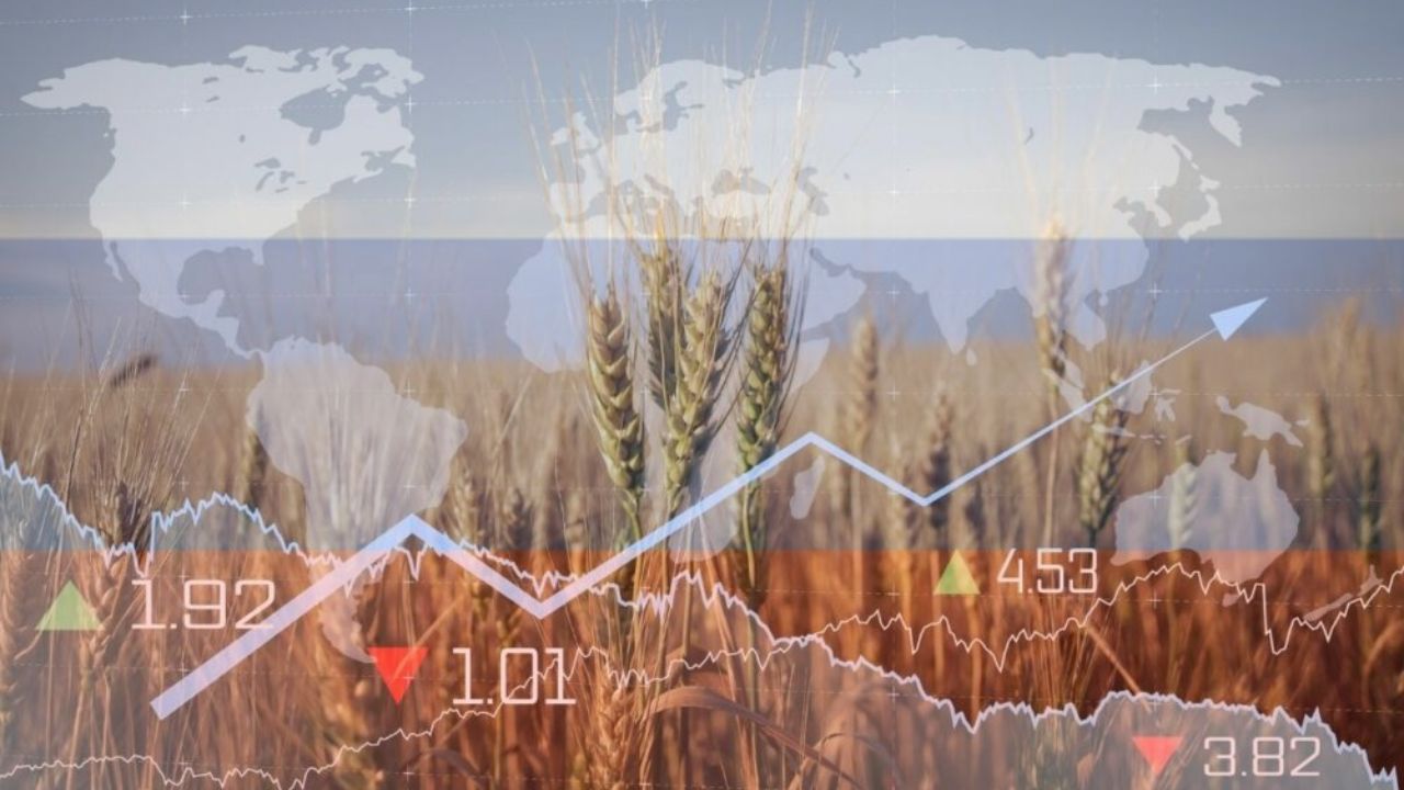Rusia vrea propria bursă de cereale
