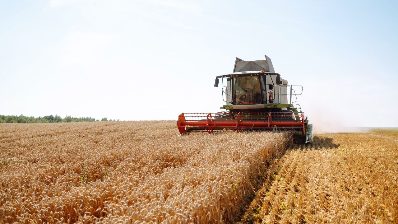 Ministrul Agriculturii va convoca o ședință cu traderii de cereale: Nu pot avea profit doar anumite companii!