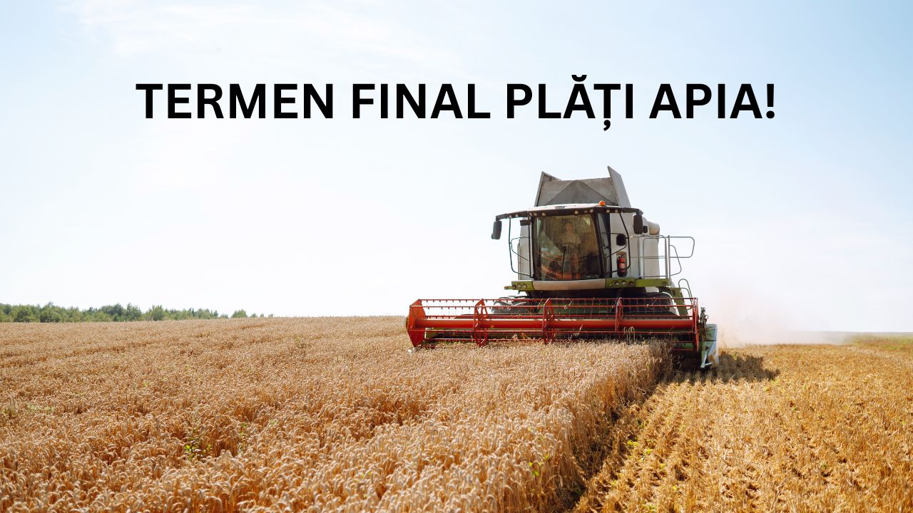 Final de plăți la APIA. Condiția pentru ca fermierii să încaseze banii de subvenții și după 30 iunie