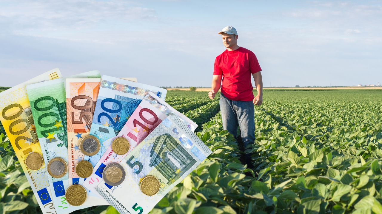 Plăți subvenții APIA – în câte zile ajung banii în conturile fermierilor