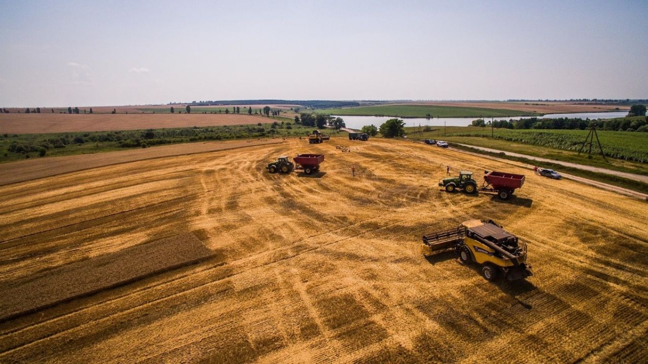 Ferma care recoltează grâul și rapița cu 200 de utilaje agricole