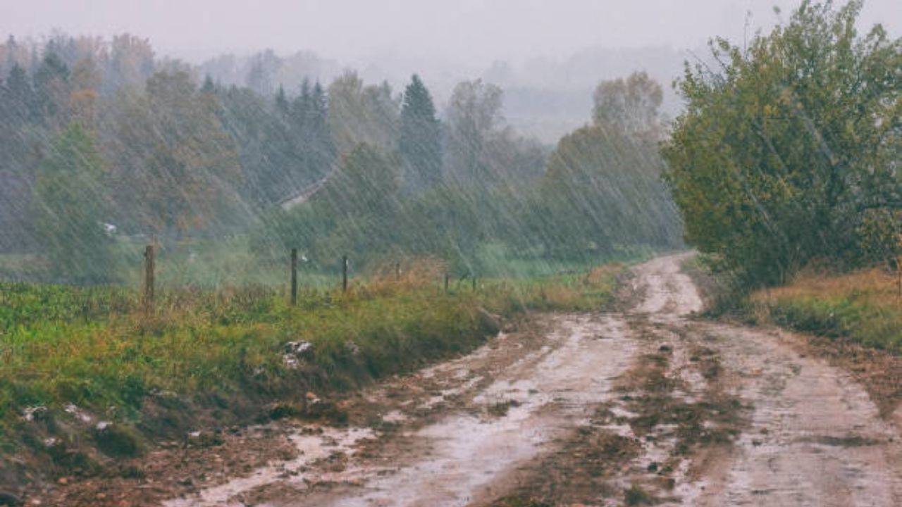 Alertă meteo! Ploi torențiale și acumulări mari de apă în șase județe