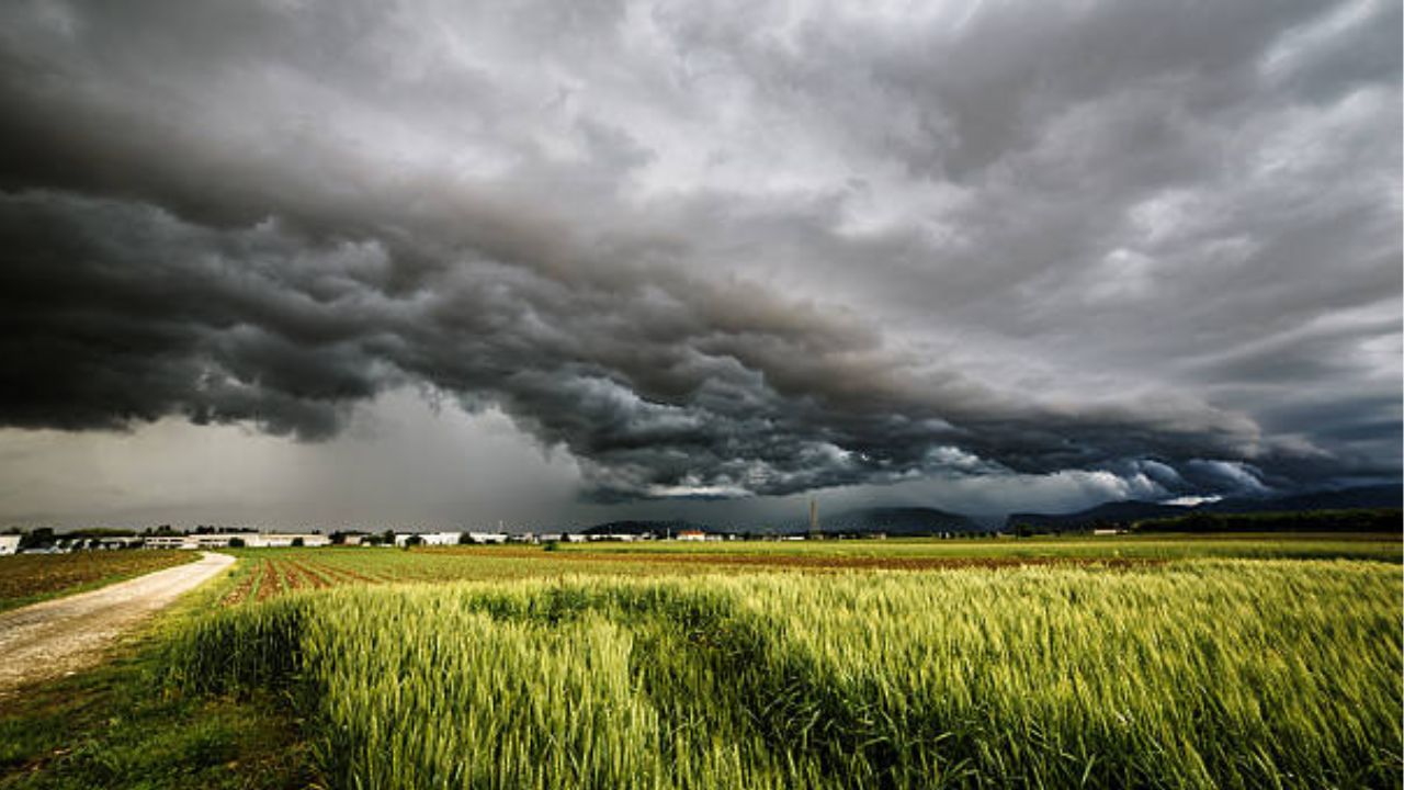 Se strică vremea! Județele unde ANM a emis alerte meteo de ploi și vijelii