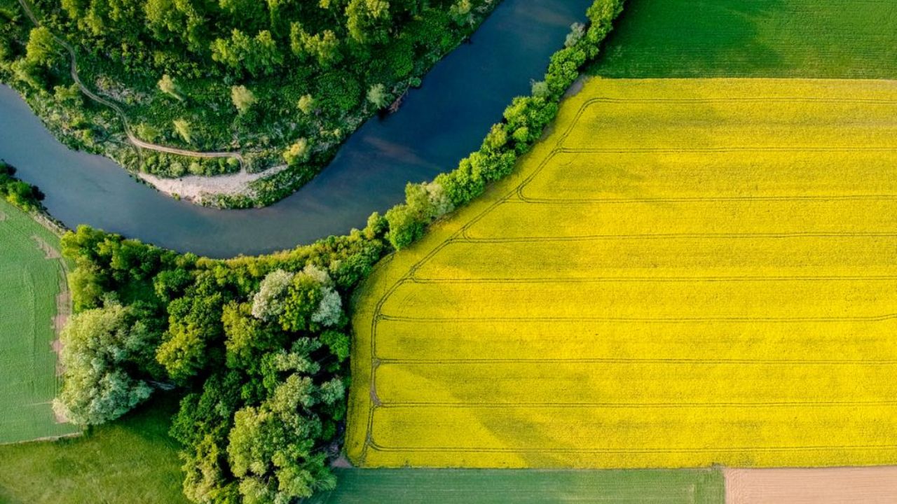 Subvențiile fermierilor ar putea bloca tot bugetul UE. Europarlamentarii bat cu pumnul în masă