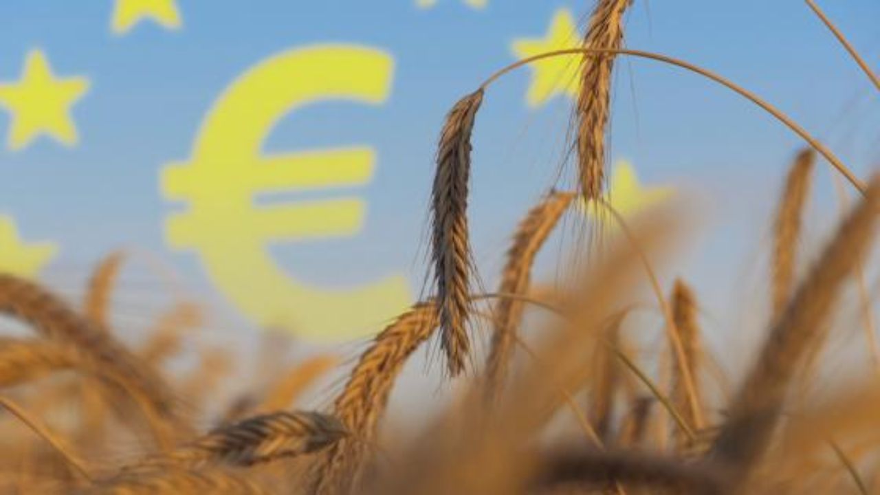 Fermierii vor afla mâine cum va arăta PAC după 2027. Se așteaptă reduceri de 10-20% la buget
