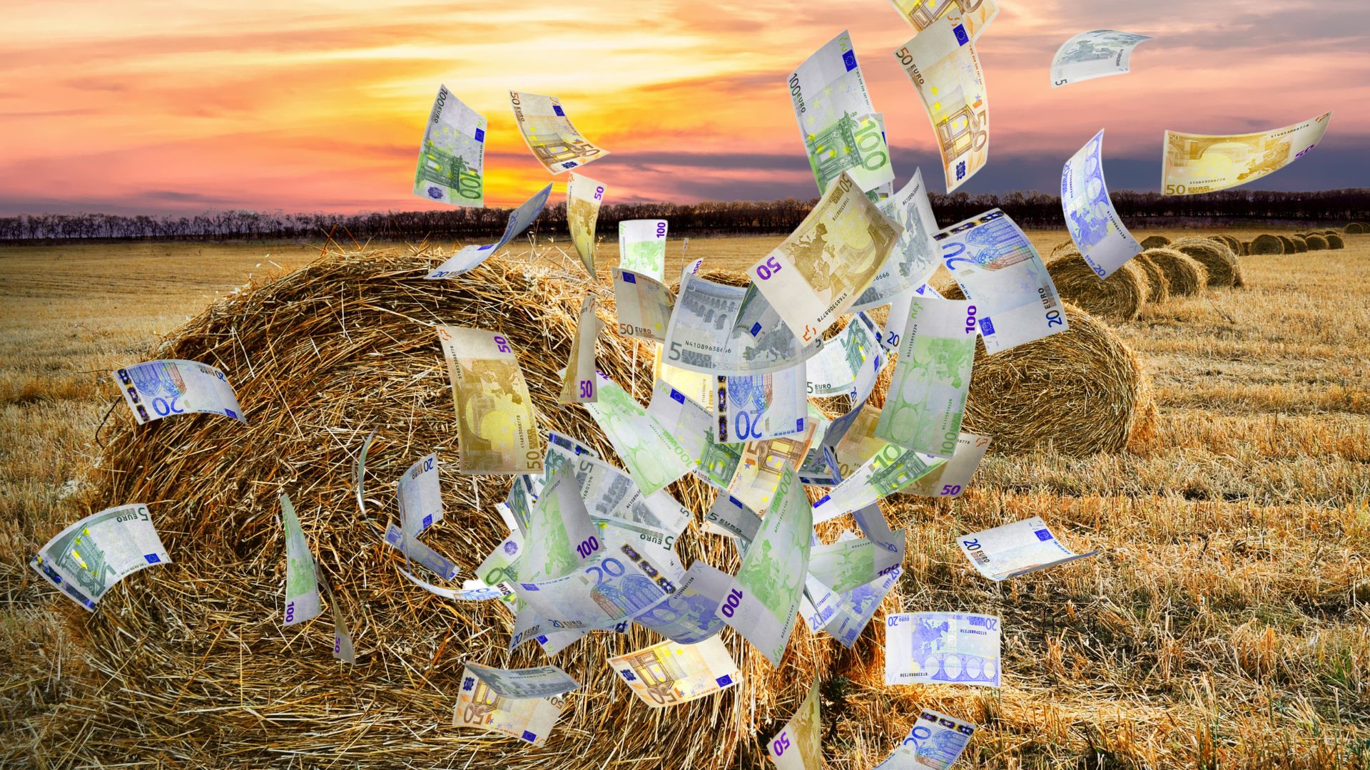 Tăierea drastică a bugetului UE pentru agricultură – pericolul major din spatele unei perdele de fum
