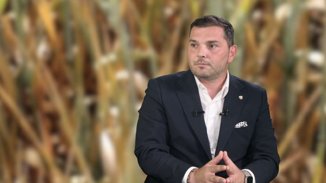 Caesar Huțanu, CFRO Broker de Asigurare: Ferma unde au ars 195 ha de grâu va fi despăgubită pentru pierdere totală