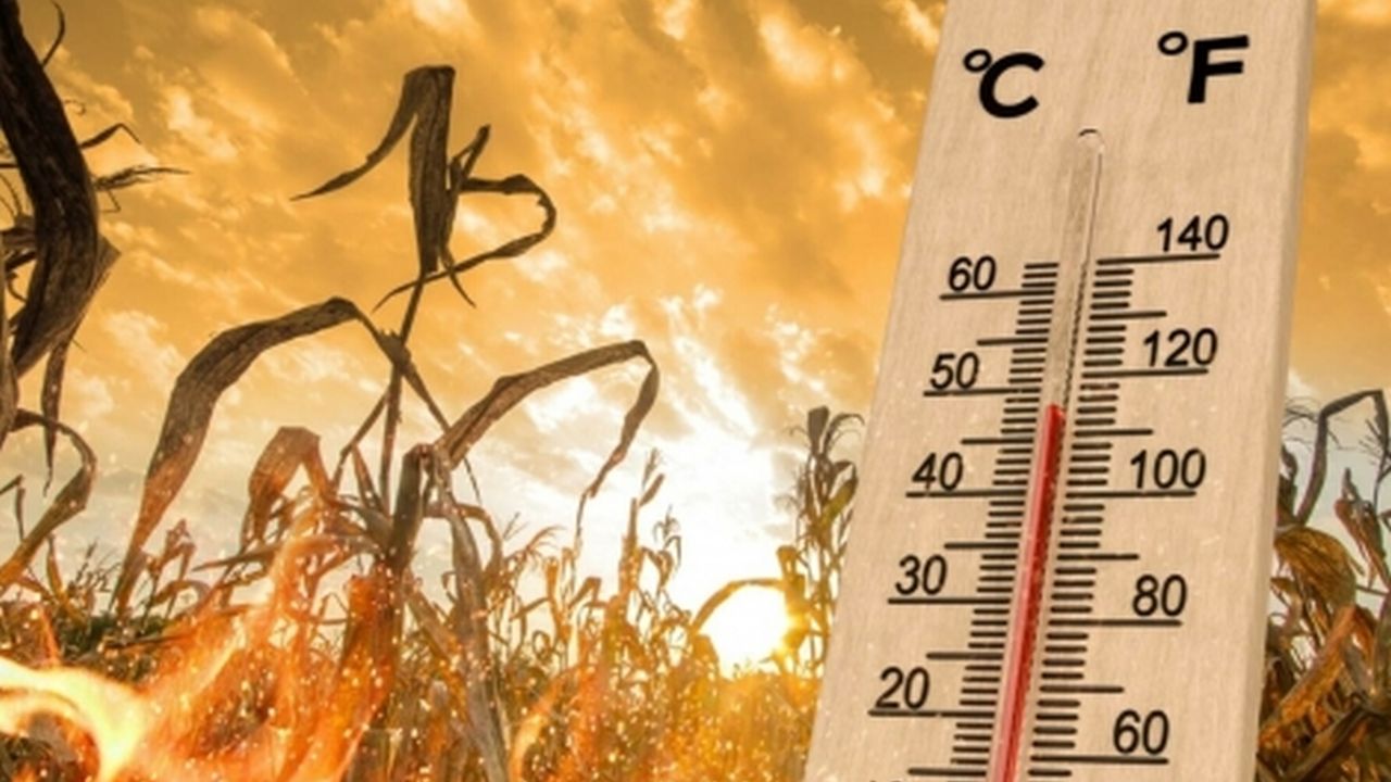 Alertă meteo: val de căldură, caniculă și disconfort termic accentuat în 20 de județe