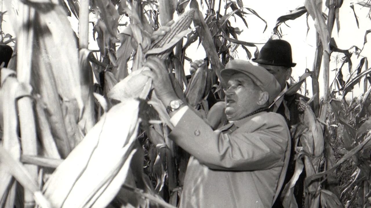 Studiu: Două treimi dintre români cred că Nicolae Ceaușescu a fost un lider bun pentru România